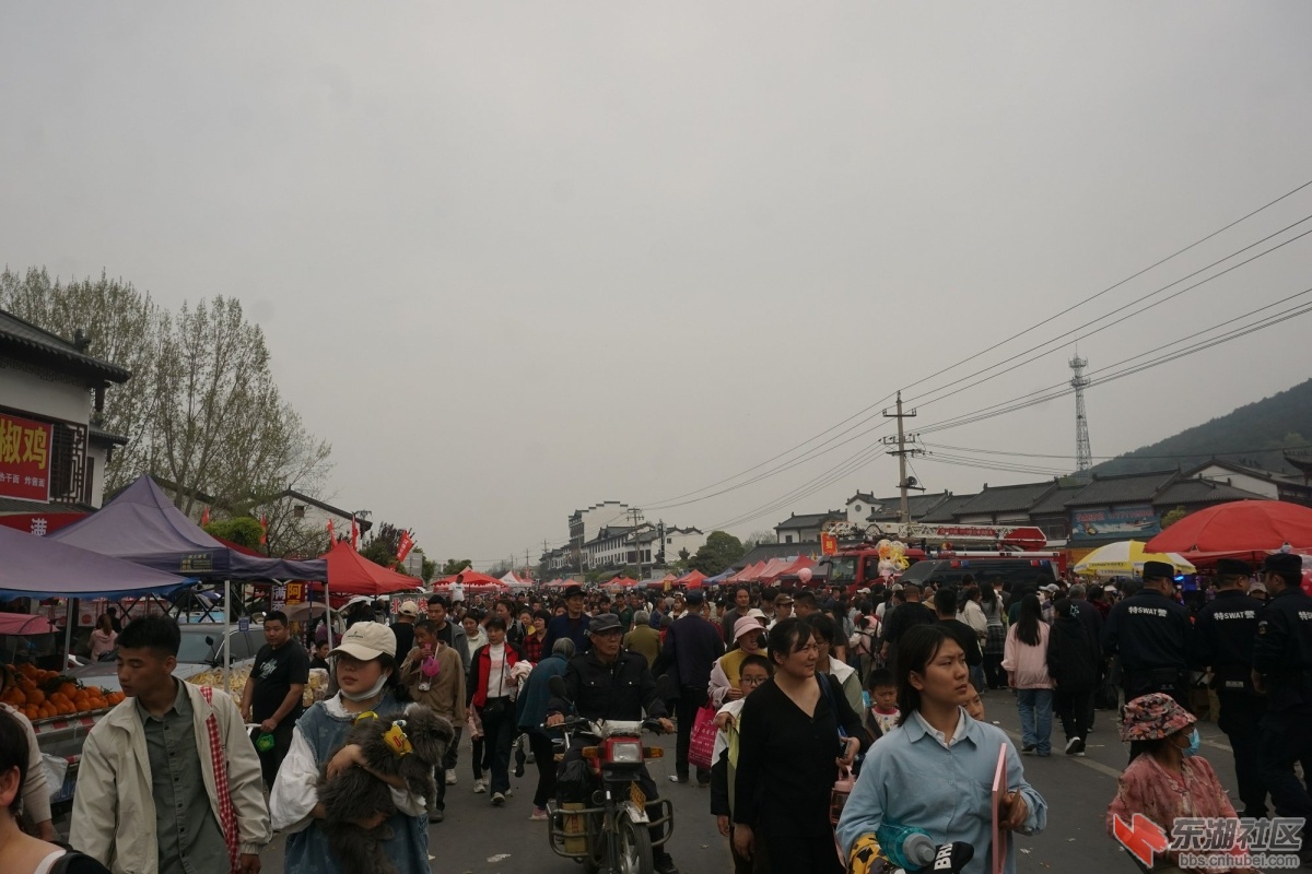 DSC09068.JPG