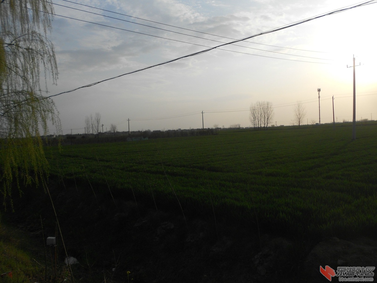 DSCN0893.JPG