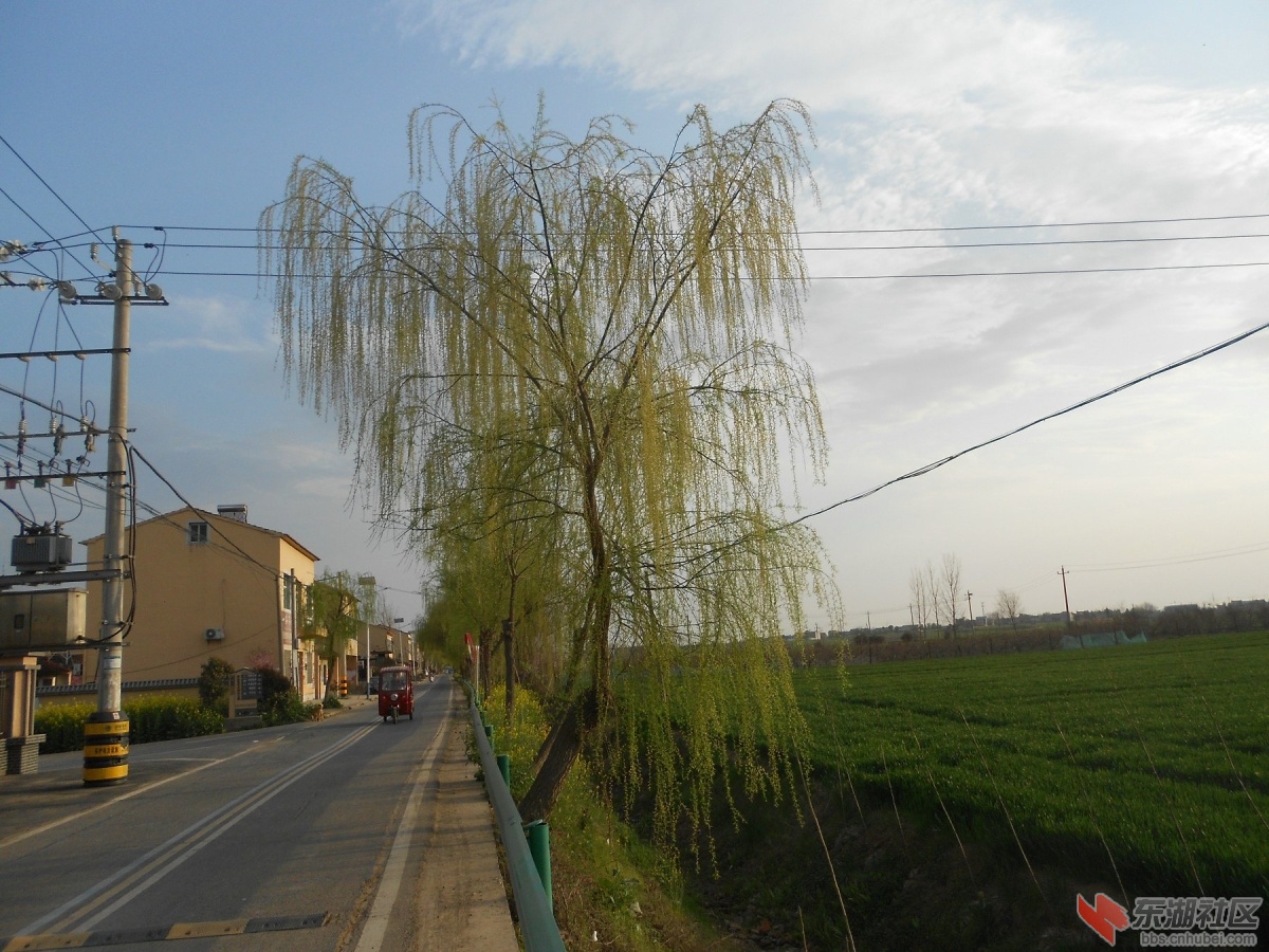 DSCN0894.JPG