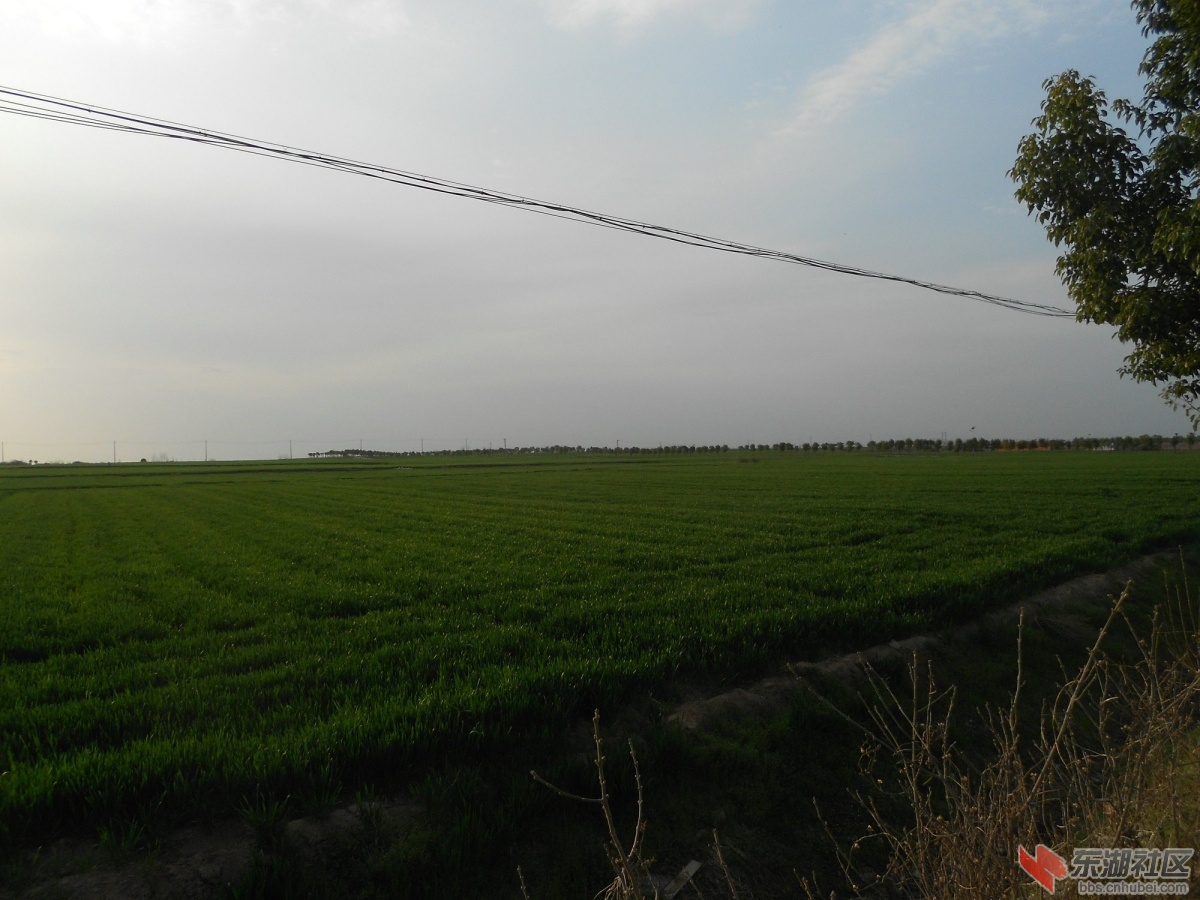 DSCN0896.JPG
