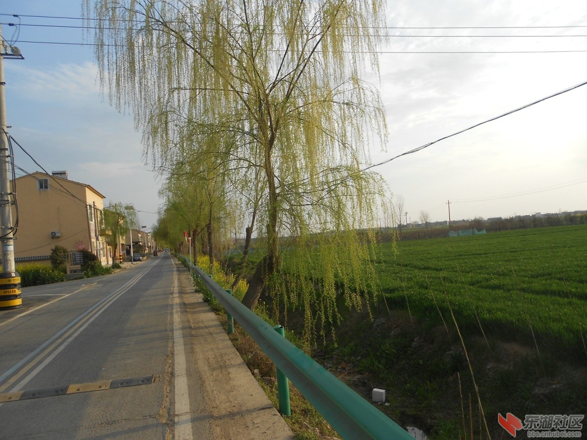 DSCN0898.JPG