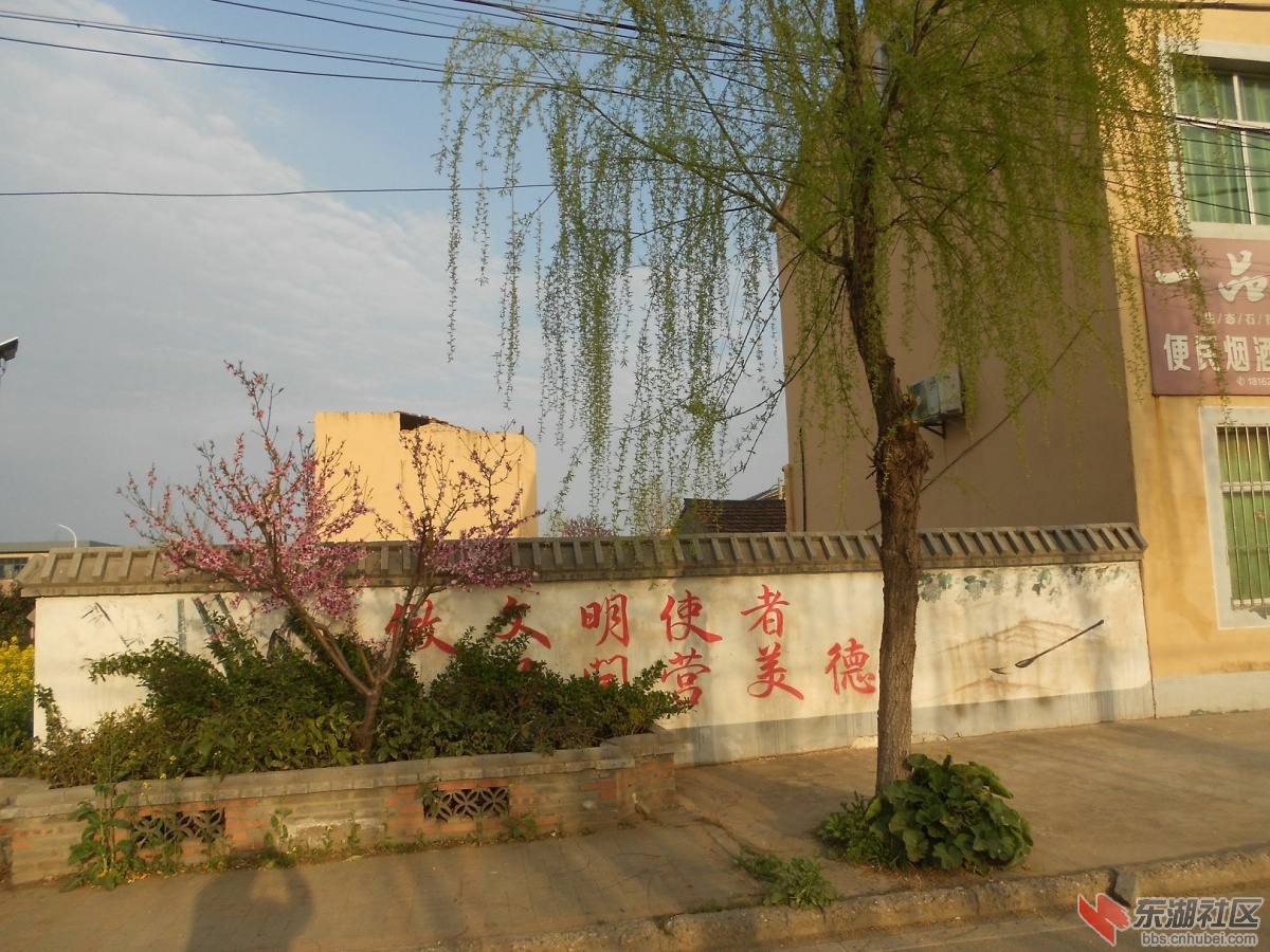DSCN0907.JPG