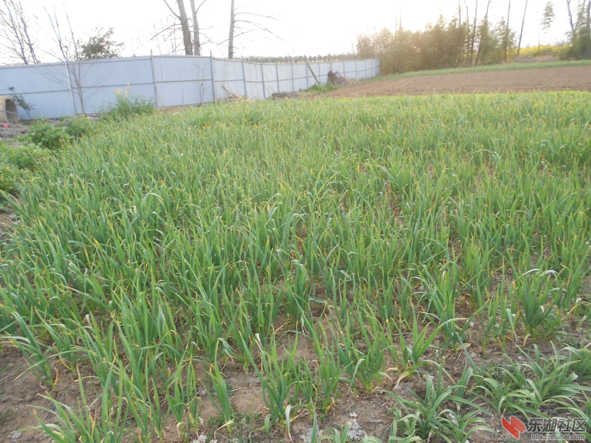DSCN0910.JPG