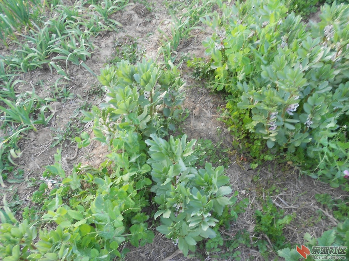 DSCN0911.JPG