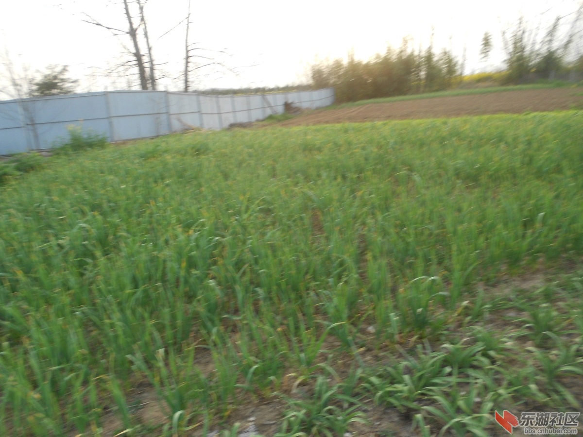 DSCN0915.JPG