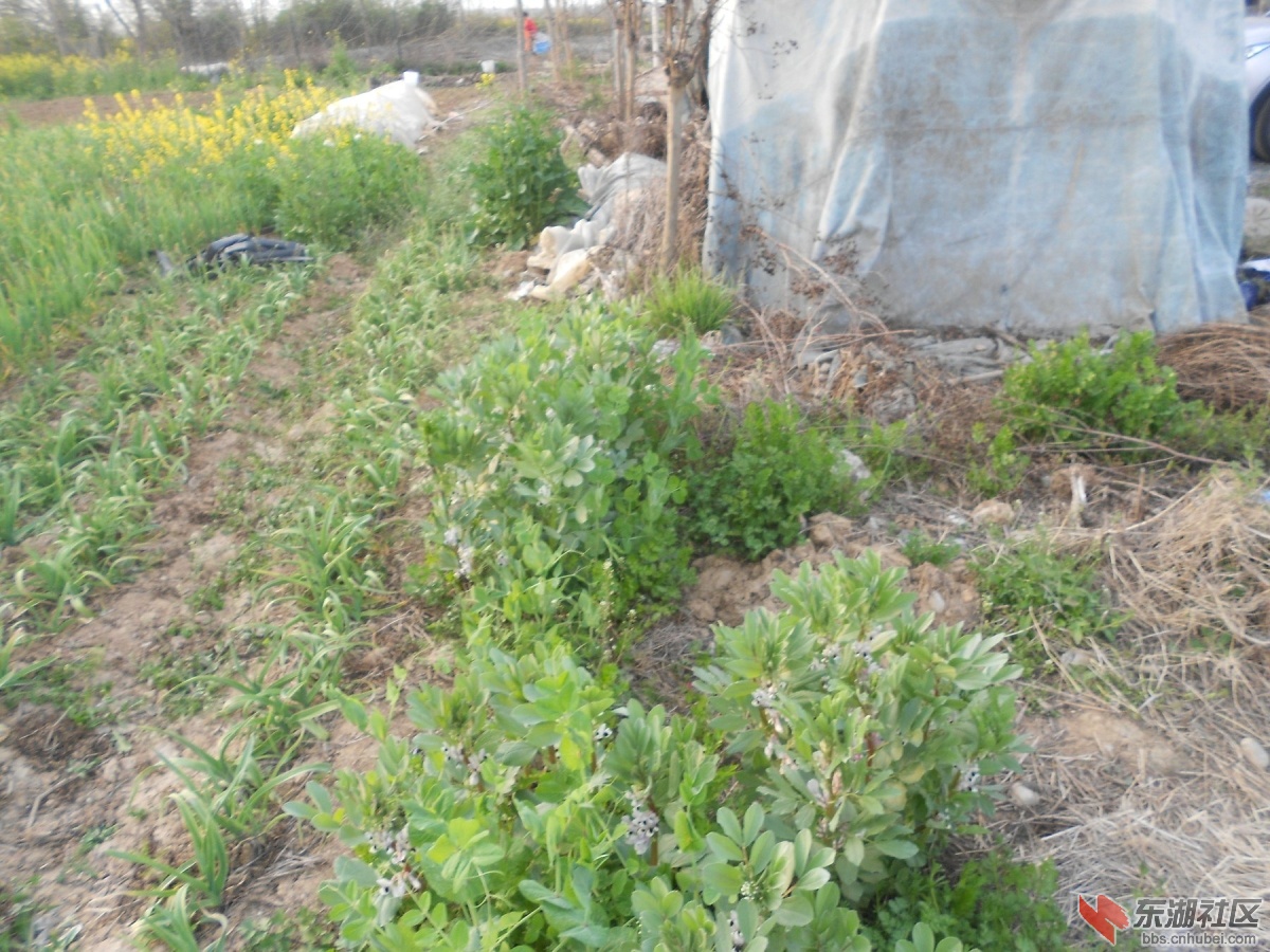 DSCN0913.JPG
