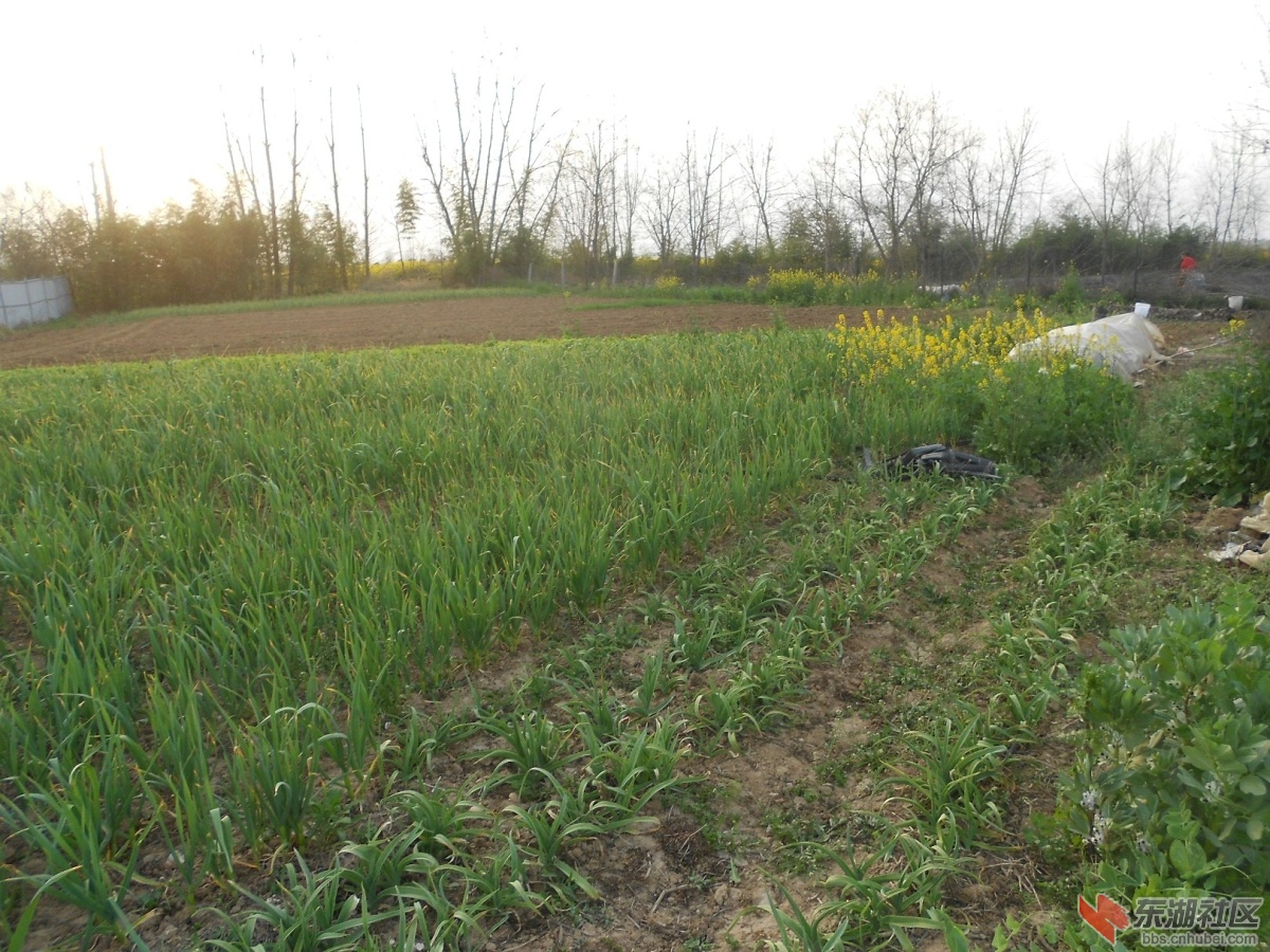 DSCN0914.JPG