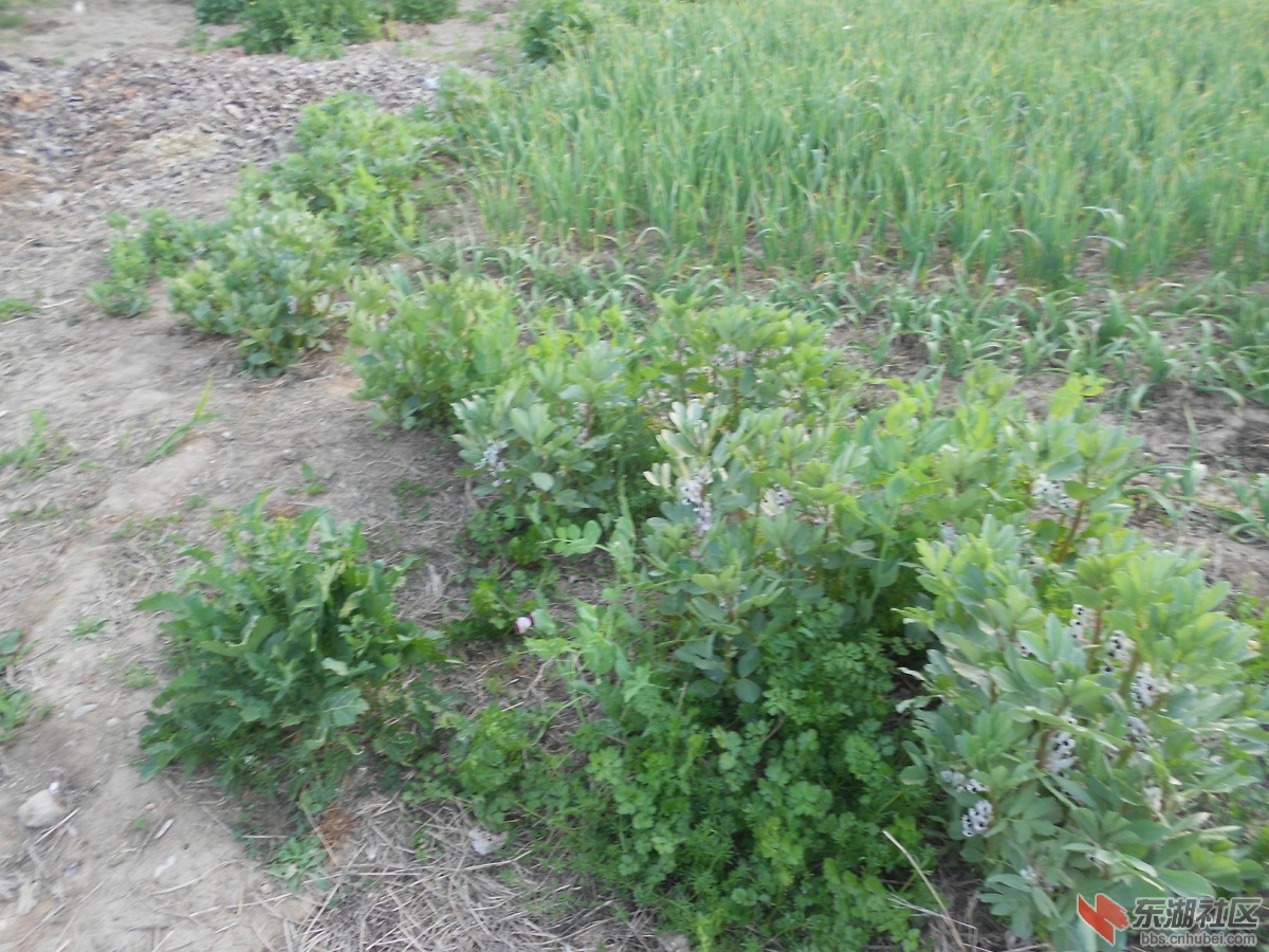 DSCN0919.JPG