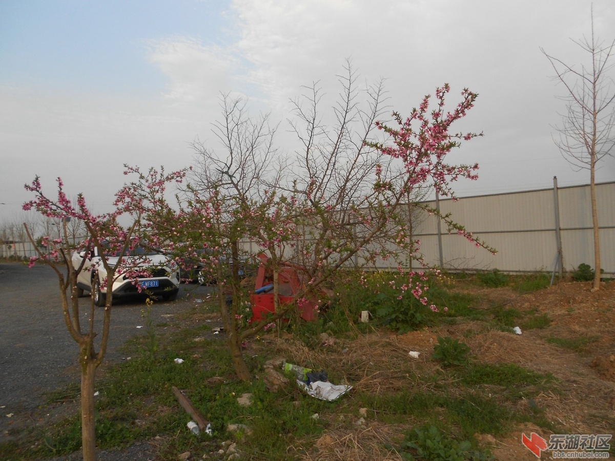 DSCN0920.JPG