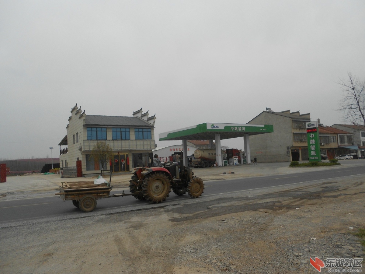 DSCN0922.JPG