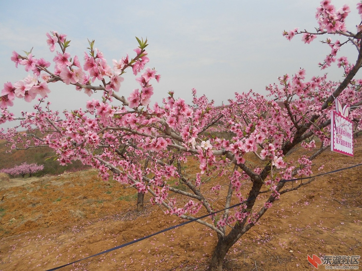 DSCN1025.JPG