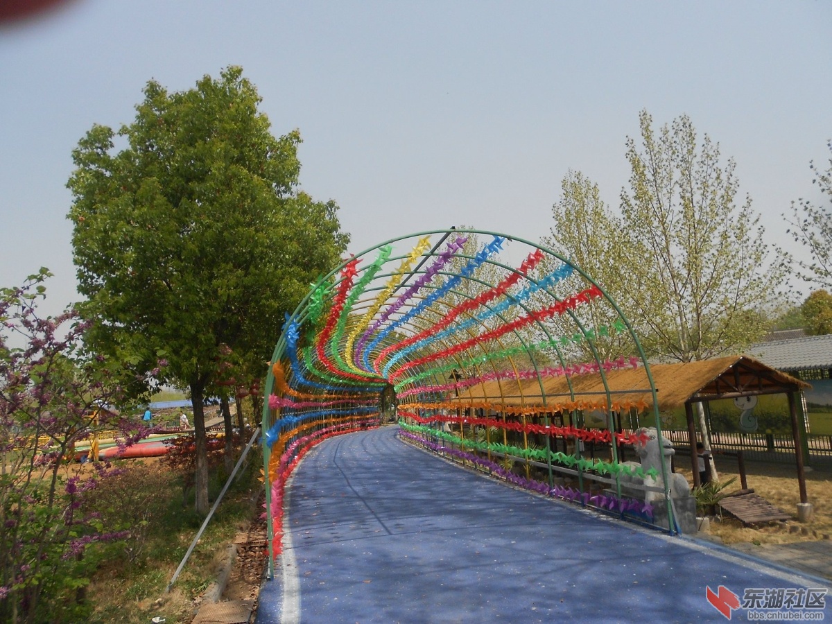 DSCN1515.JPG