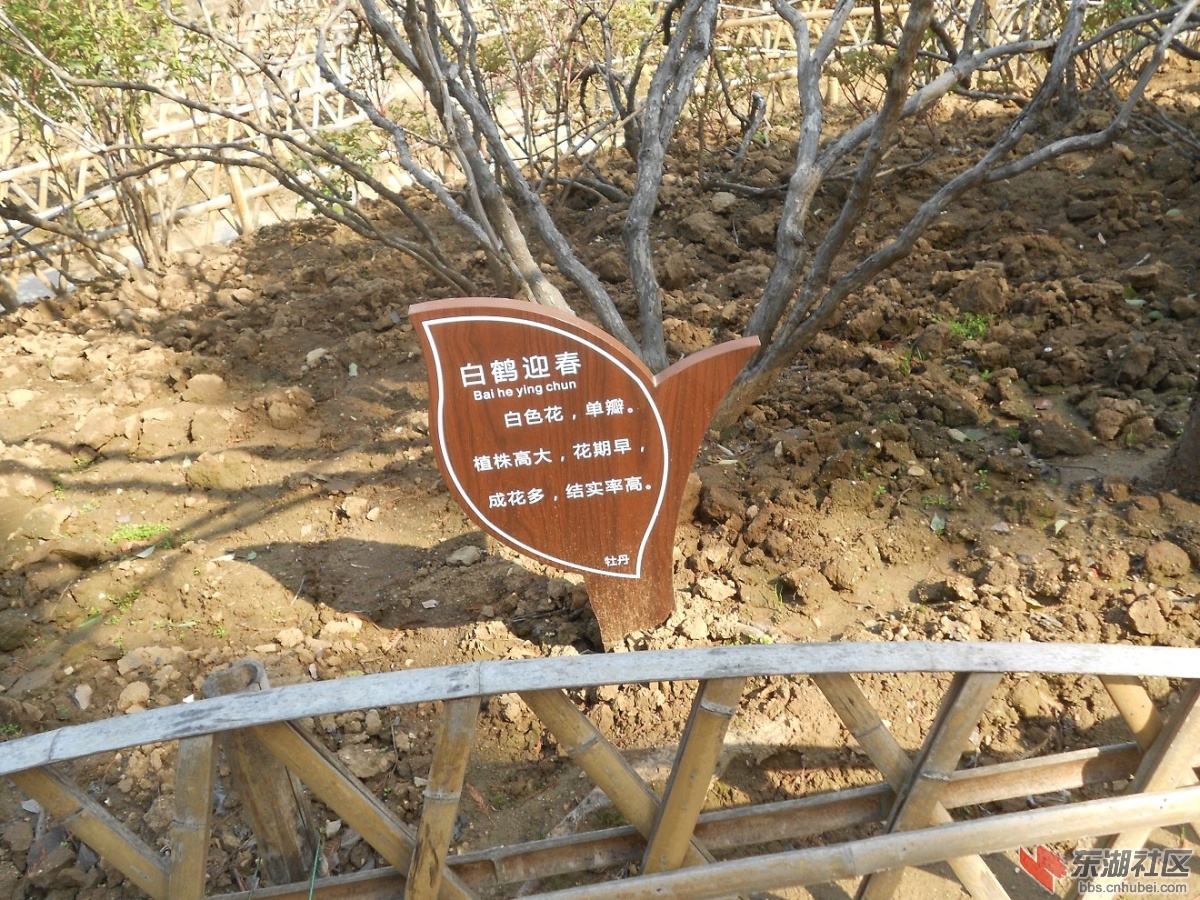 DSCN0401.JPG