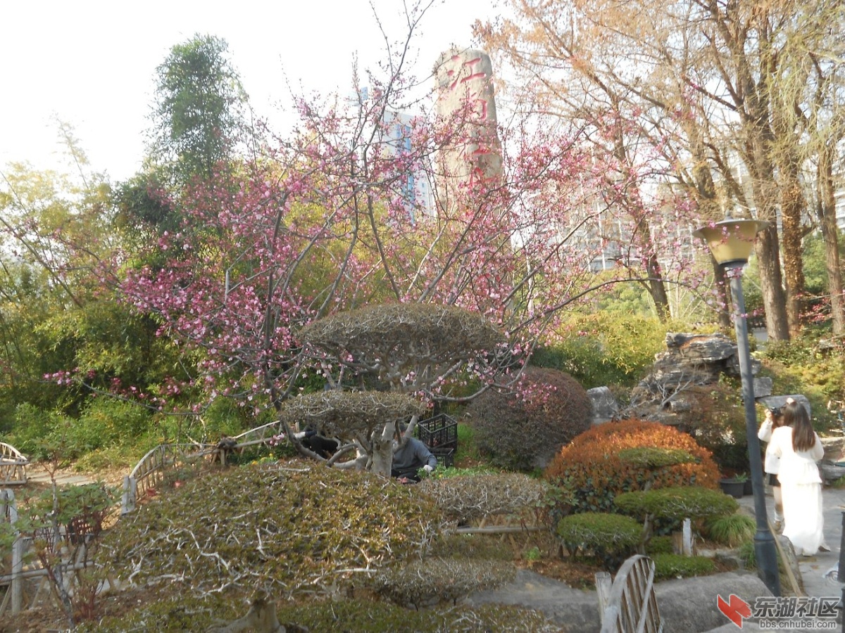 DSCN0400.JPG