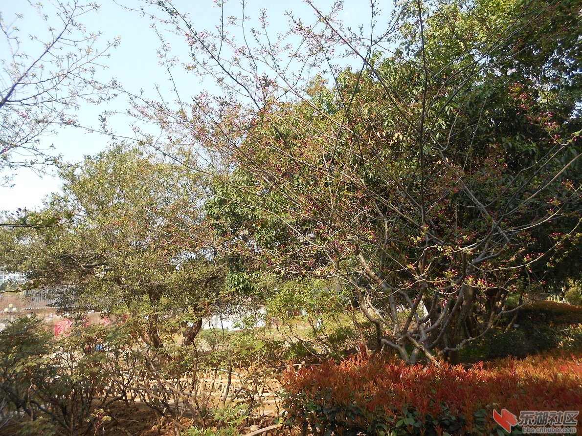 DSCN0404.JPG