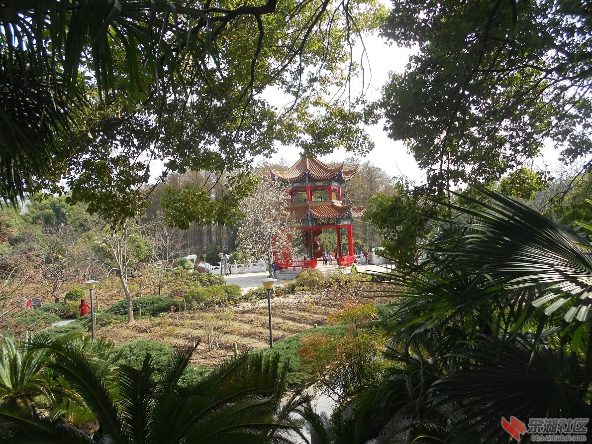 DSCN0407.JPG