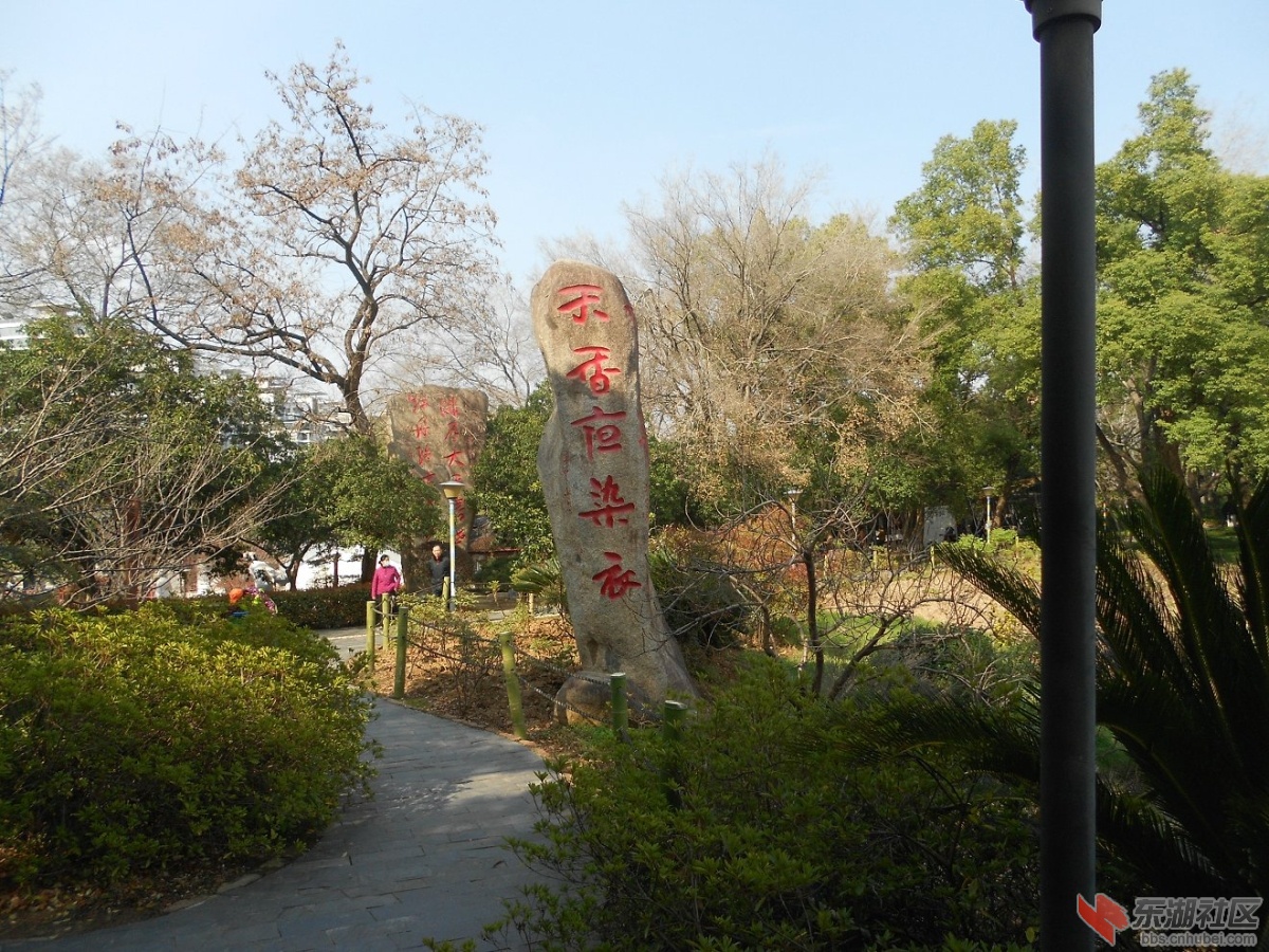 DSCN0412.JPG