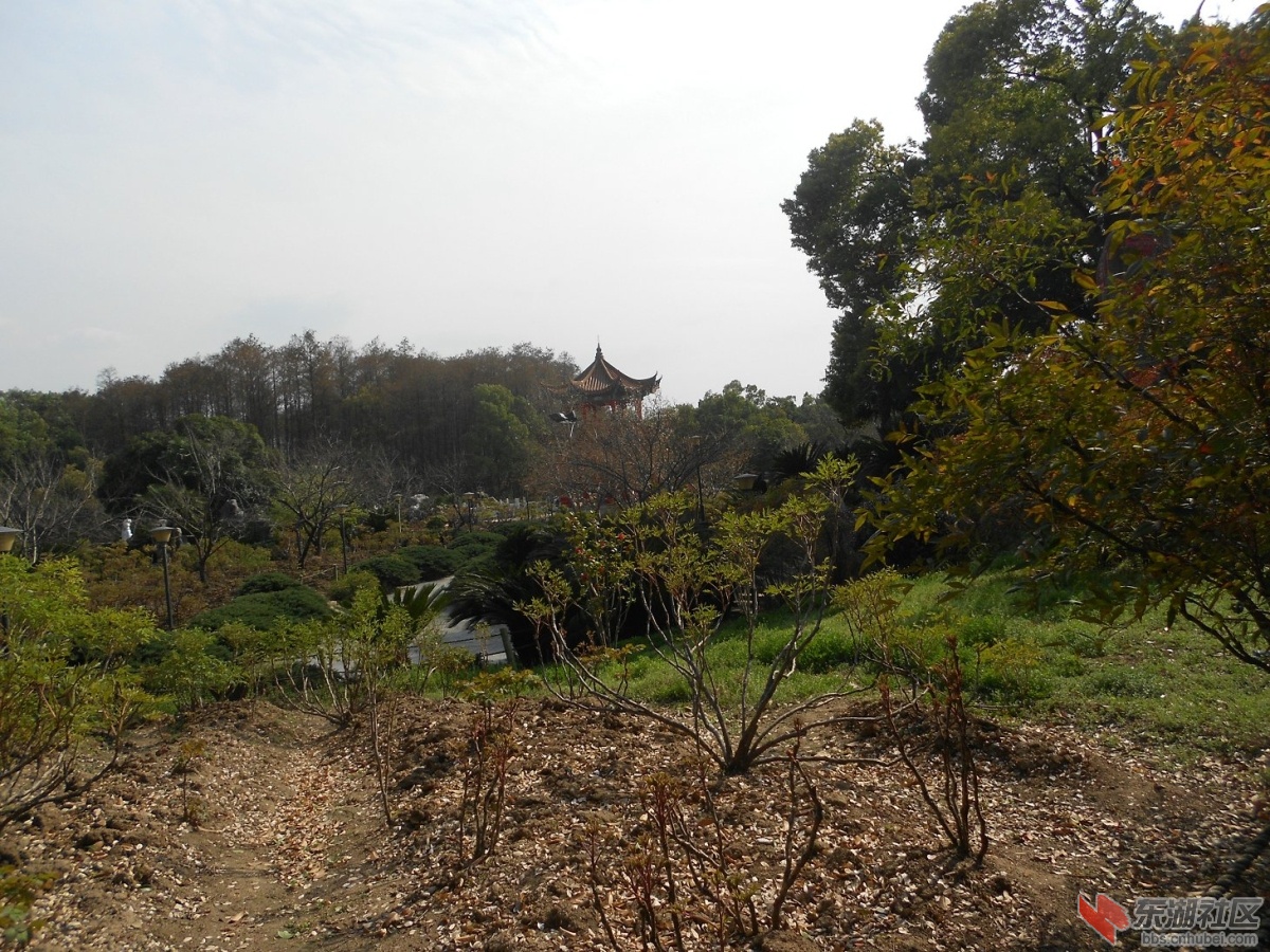 DSCN0416.JPG