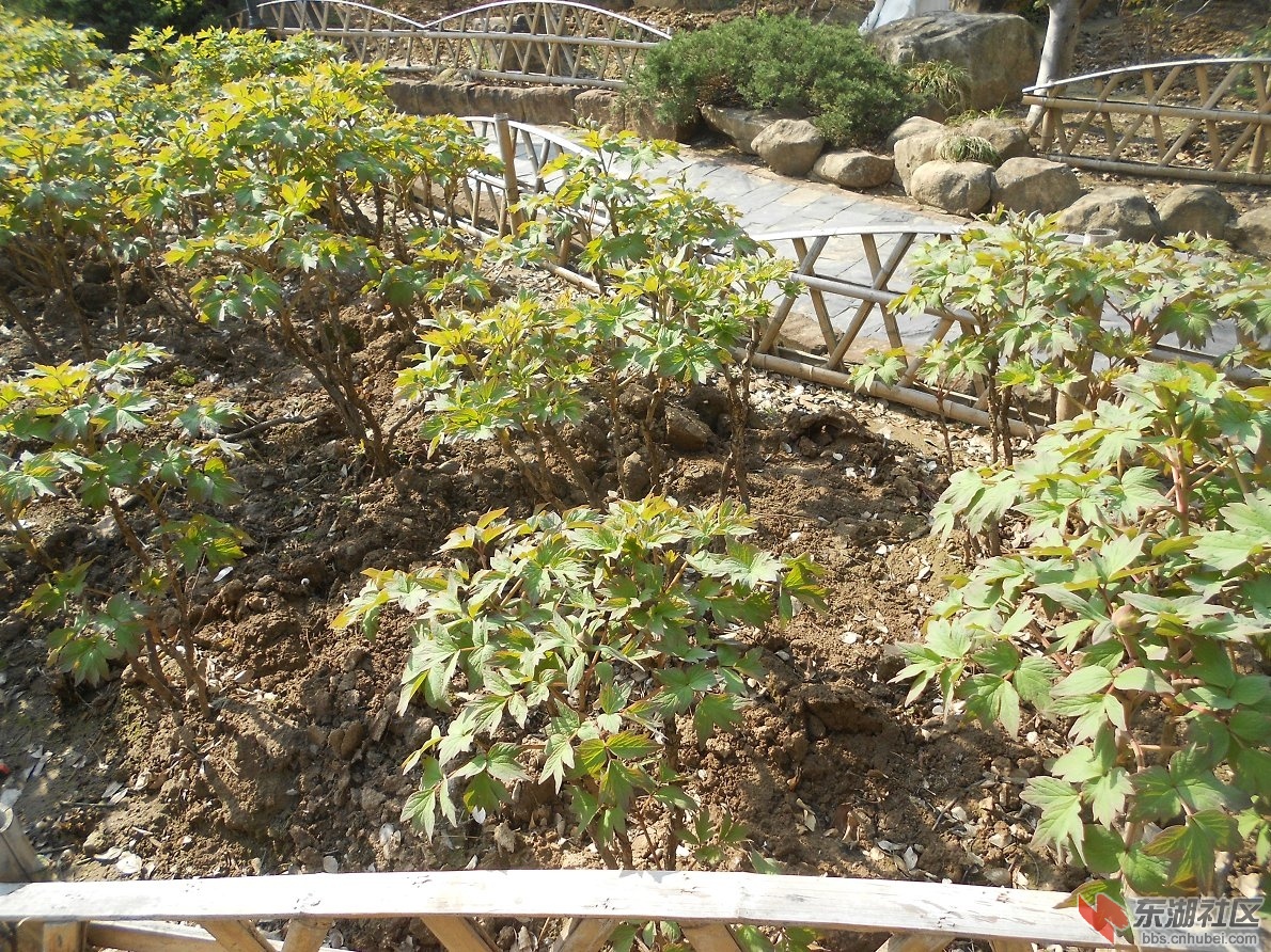 DSCN0418.JPG