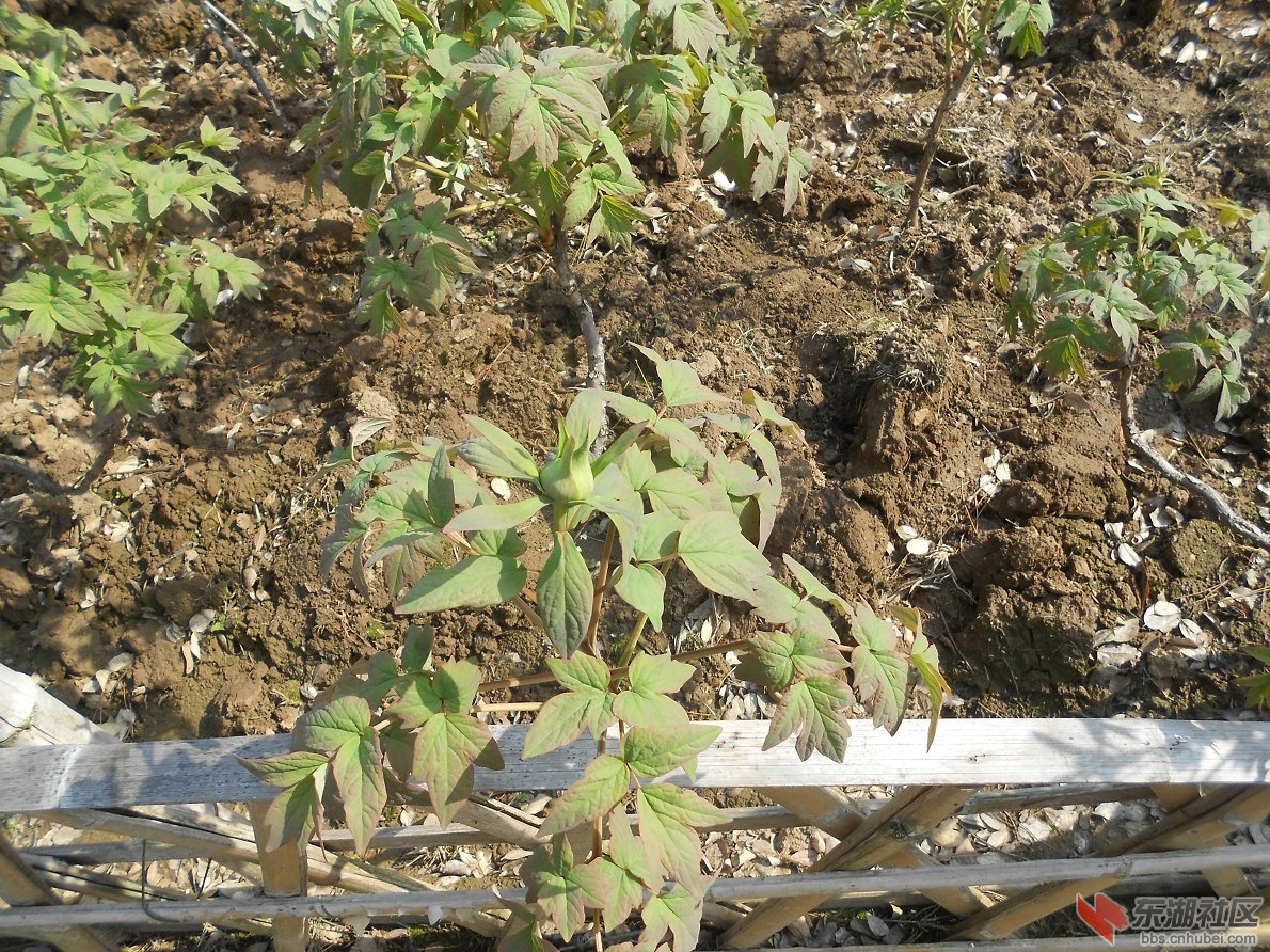 DSCN0424.JPG