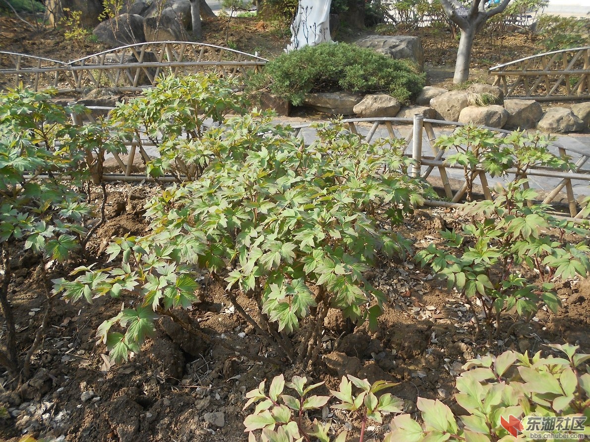 DSCN0427.JPG