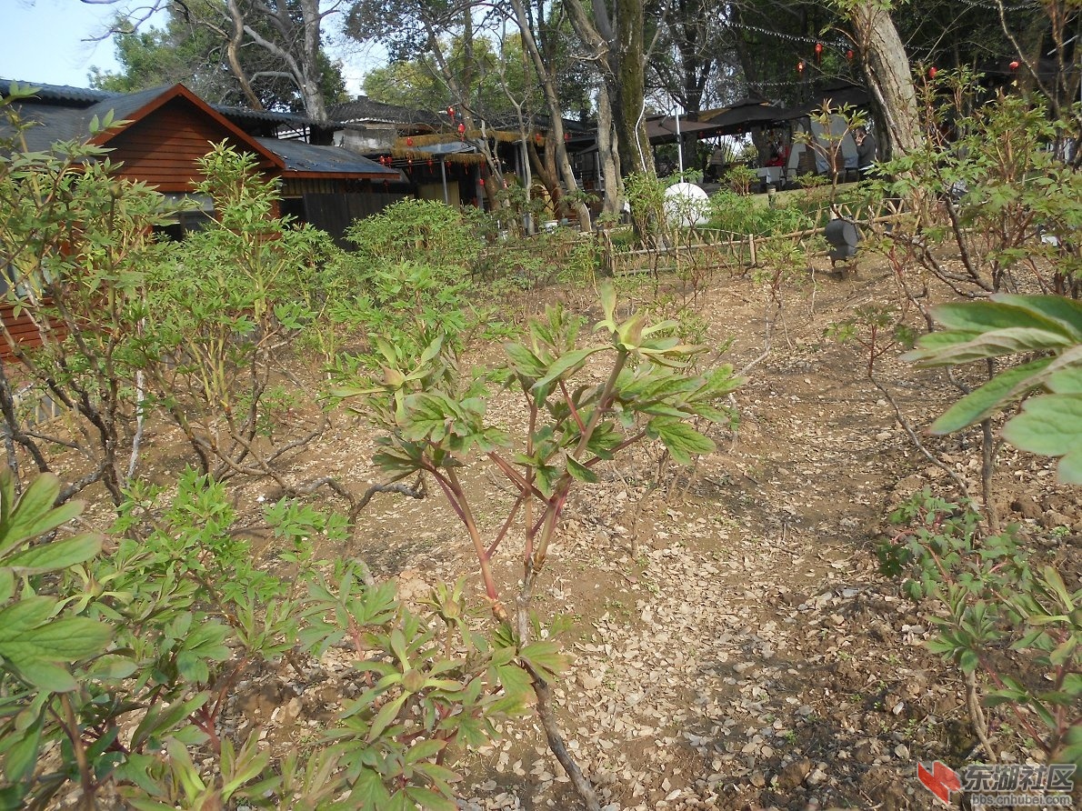 DSCN0431.JPG