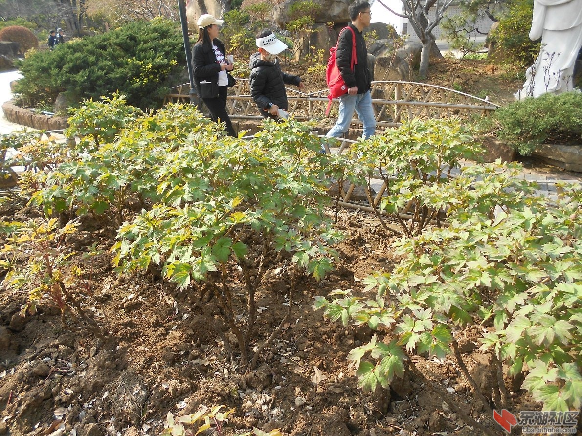 DSCN0428.JPG