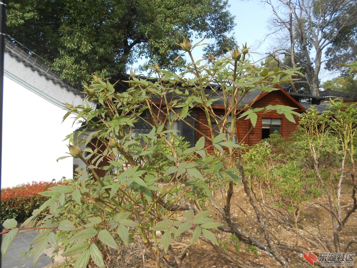 DSCN0433.JPG