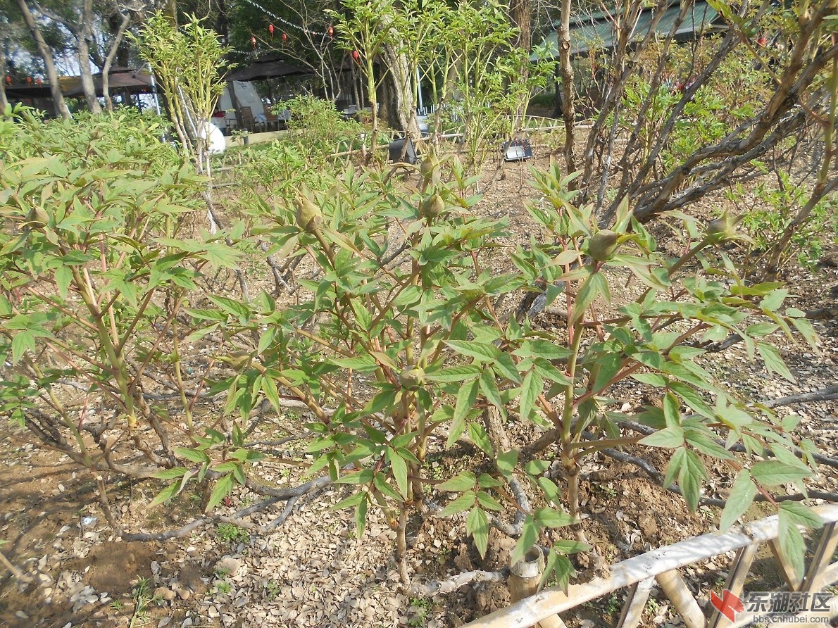 DSCN0436.JPG