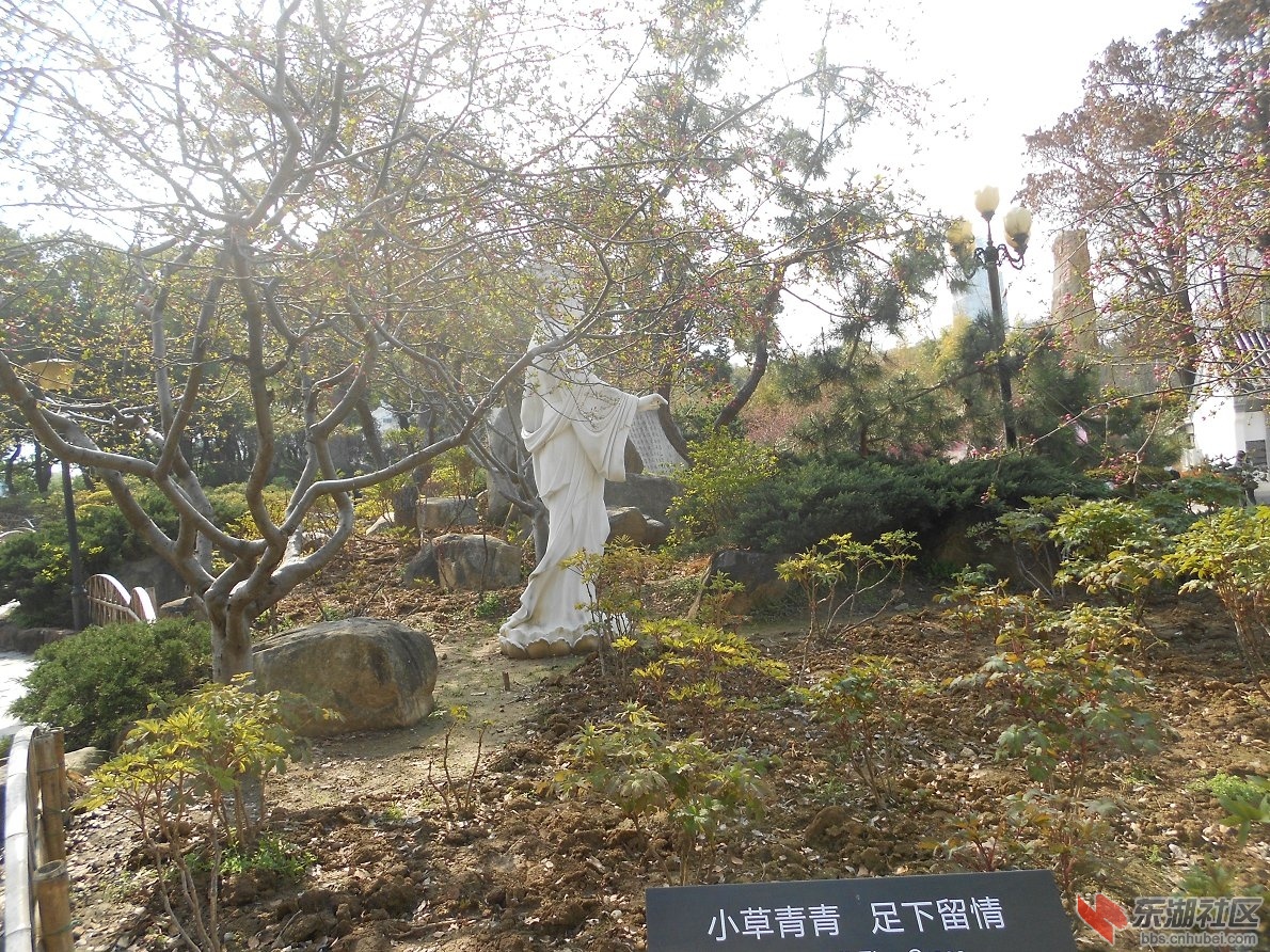 DSCN0437.JPG