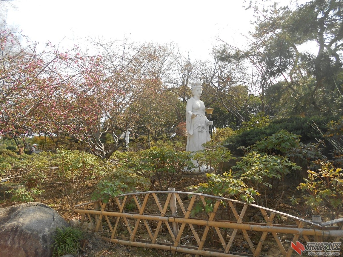 DSCN0441.JPG