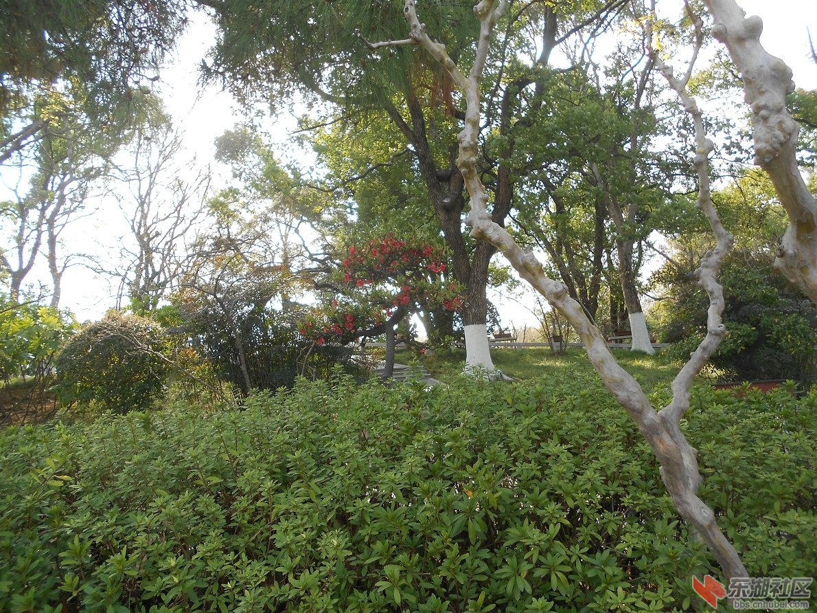 DSCN0453.JPG