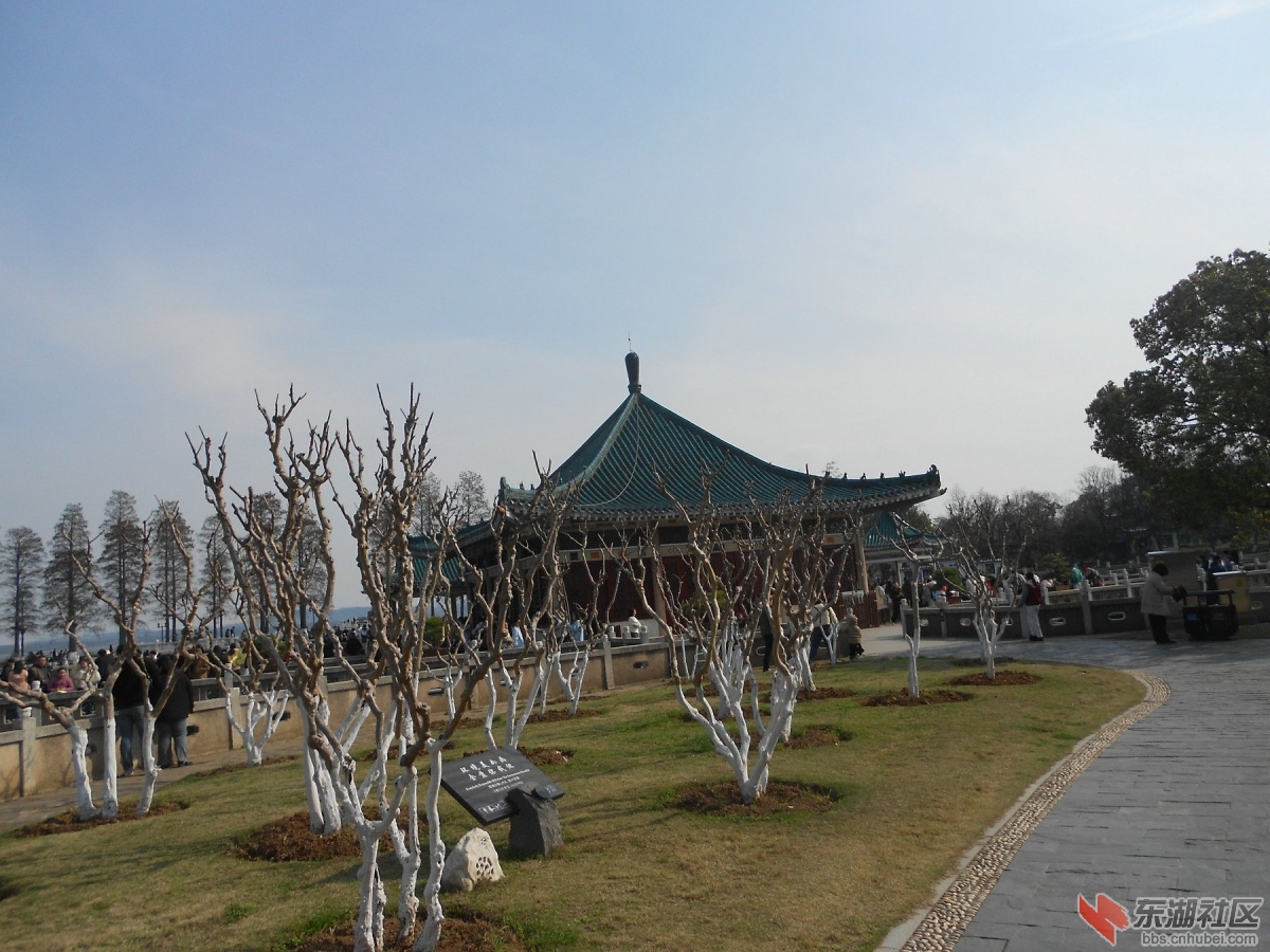 DSCN0455.JPG