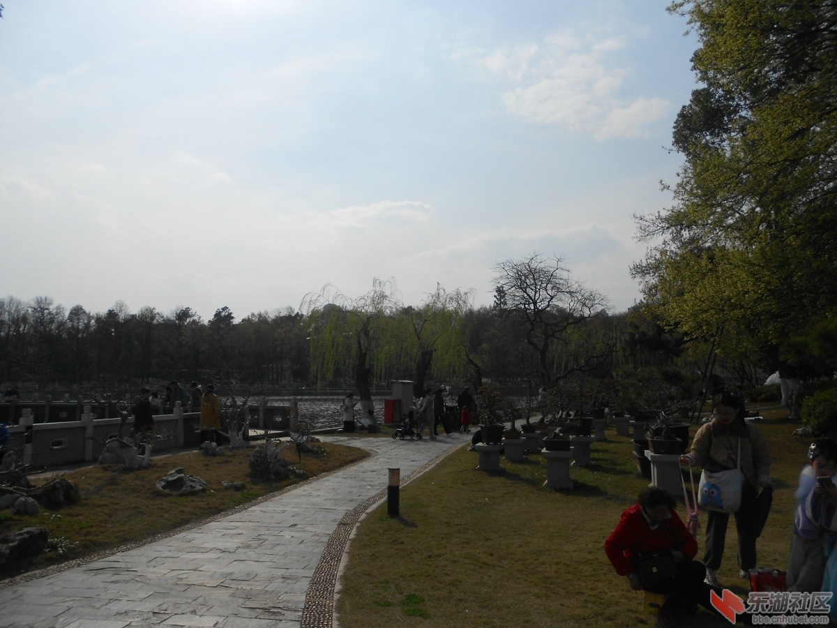 DSCN0458.JPG