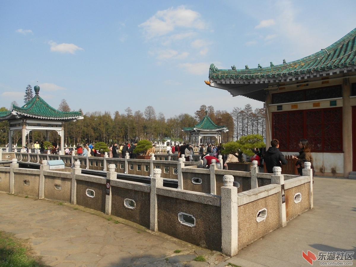 DSCN0460.JPG