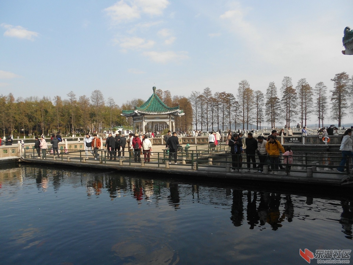 DSCN0462.JPG