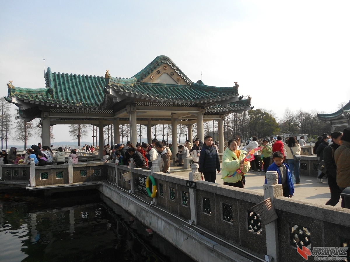 DSCN0463.JPG