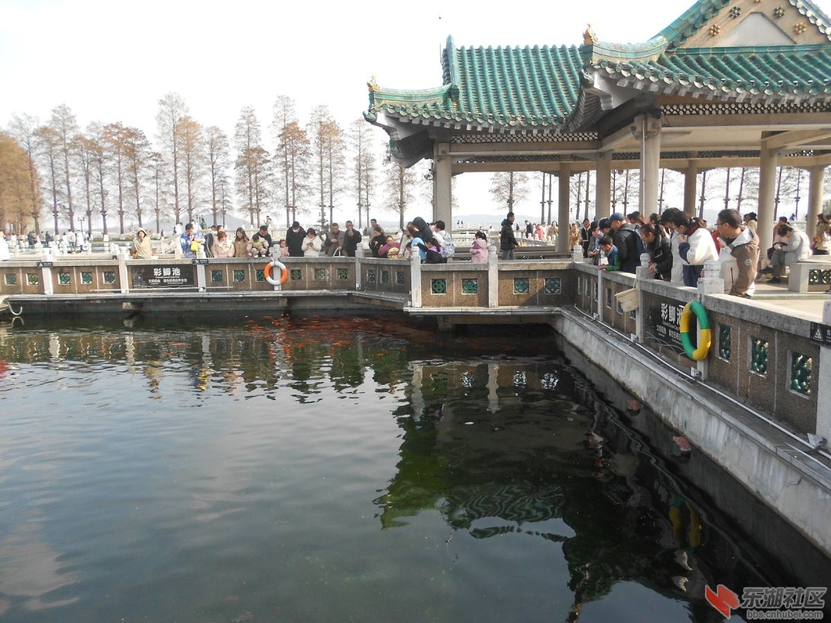 DSCN0464.JPG