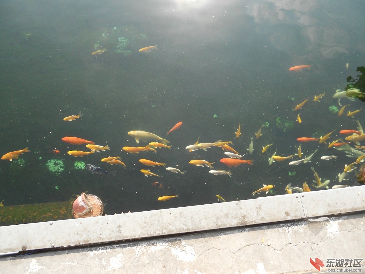 DSCN0470.JPG