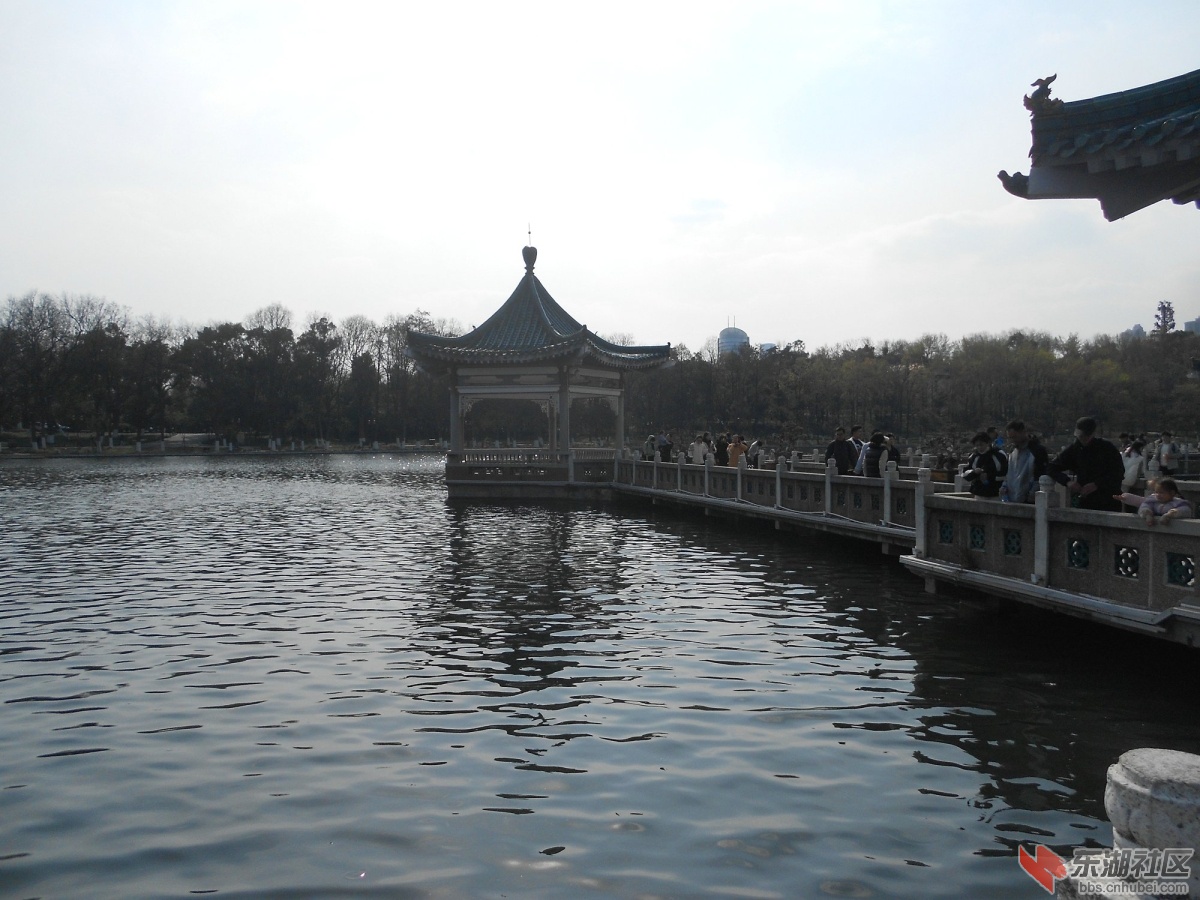 DSCN0472.JPG