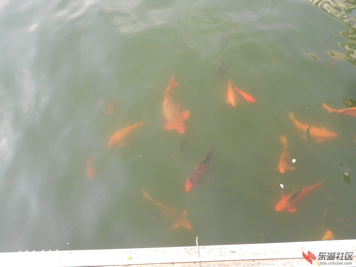 DSCN0477.JPG