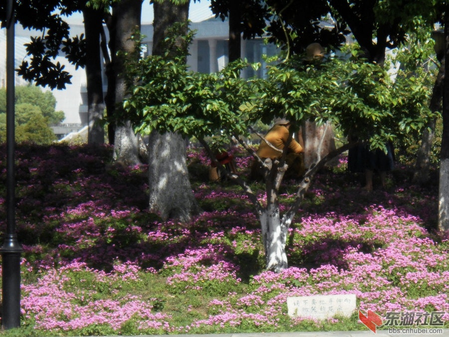 DSCN2453.JPG