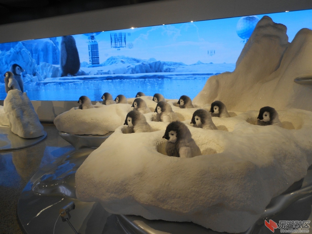 DSCN0611.JPG