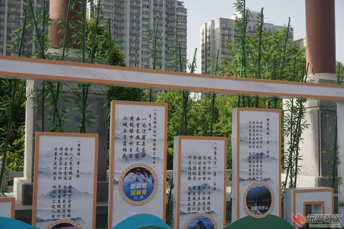 DSC00395.JPG