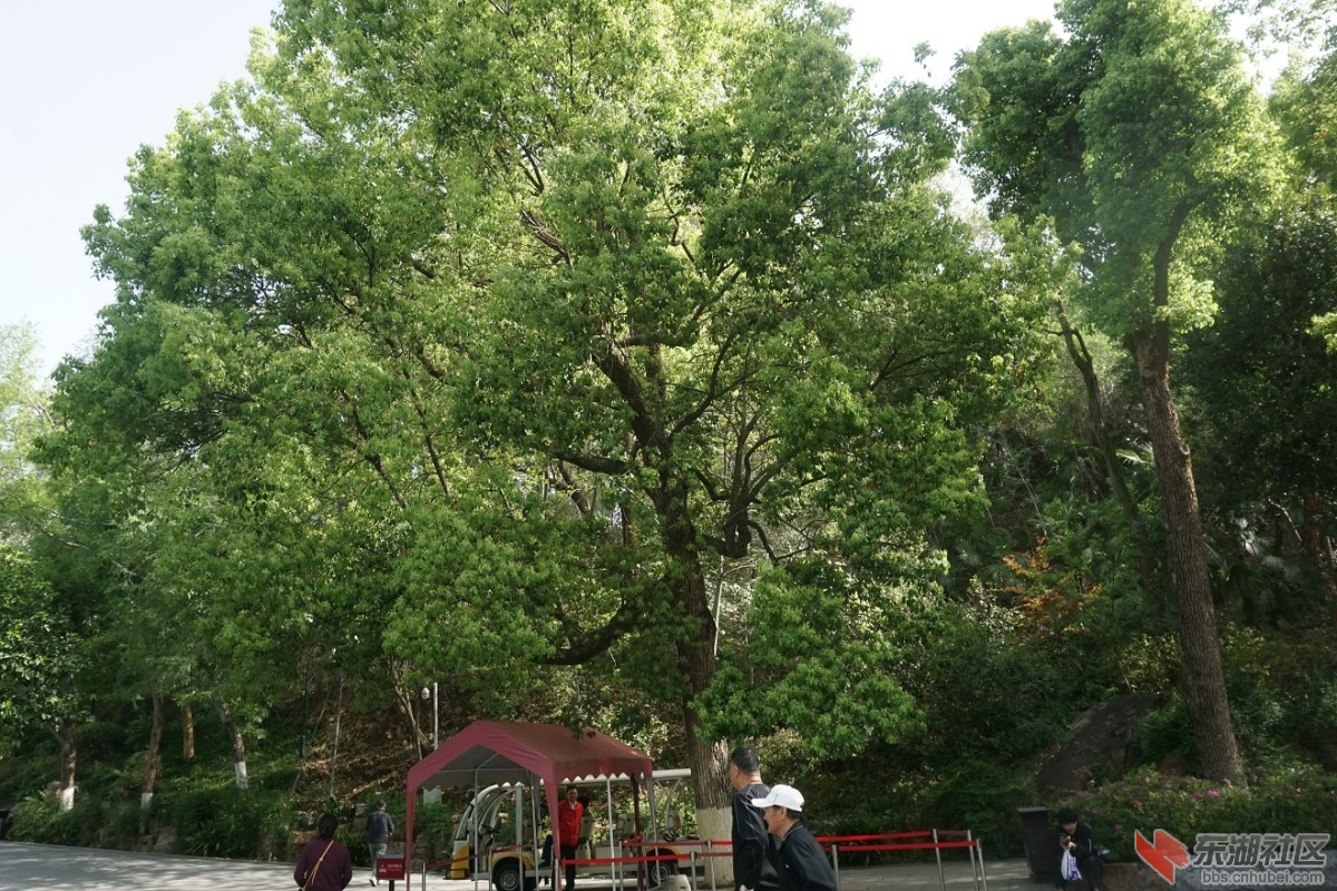 DSC00489.JPG