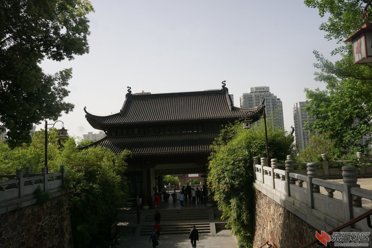 DSC00500.JPG