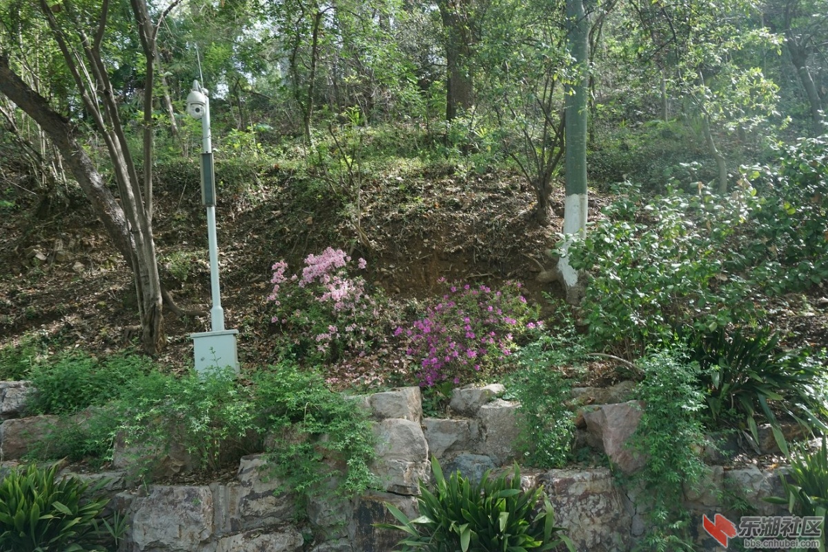 DSC00511.JPG