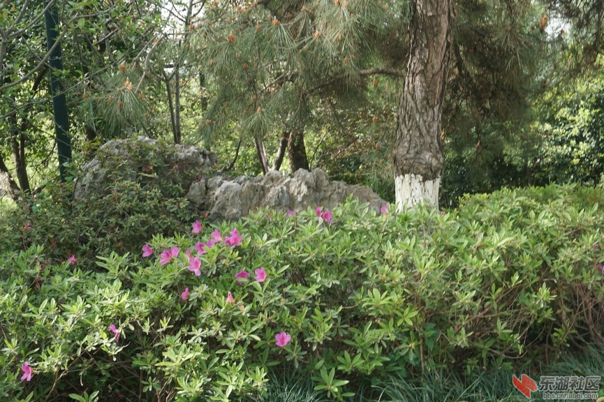 DSC00654.JPG