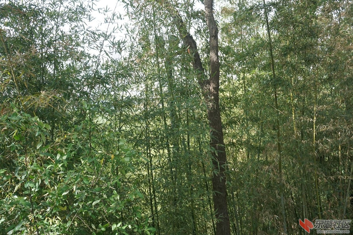 DSC00624.JPG
