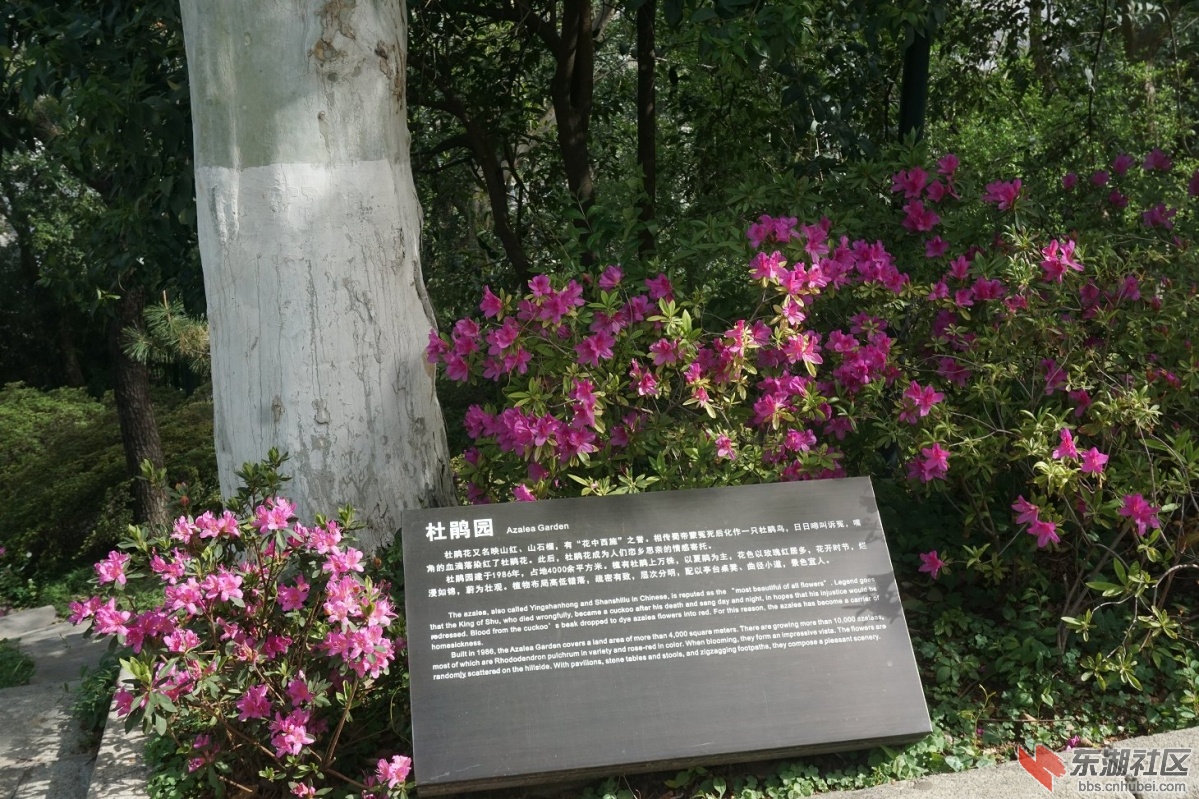 DSC00690.JPG